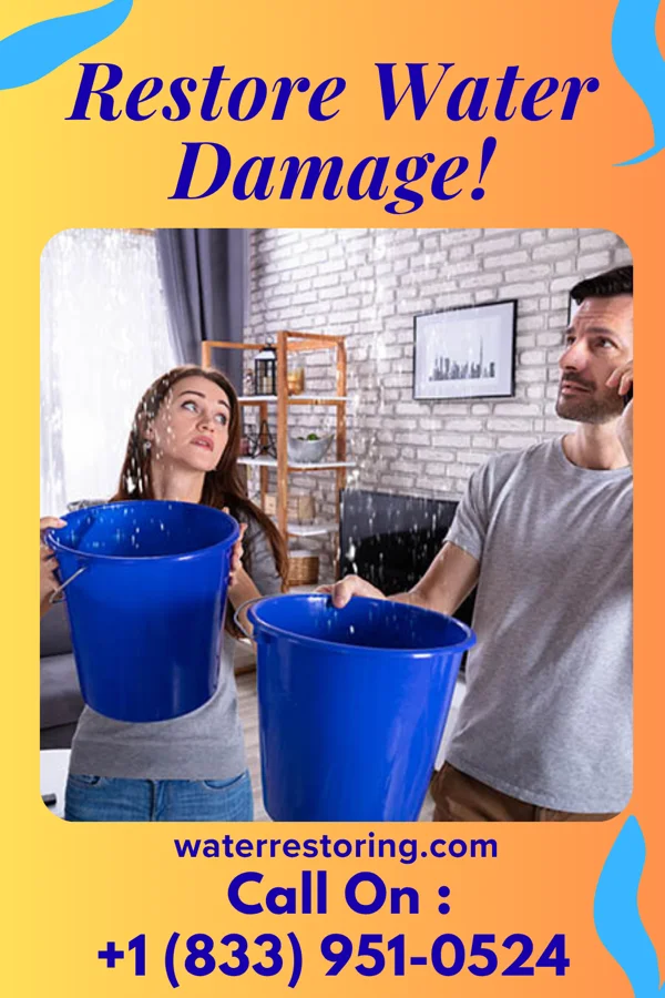 water restoration Master Water Mitigation Rio Grande